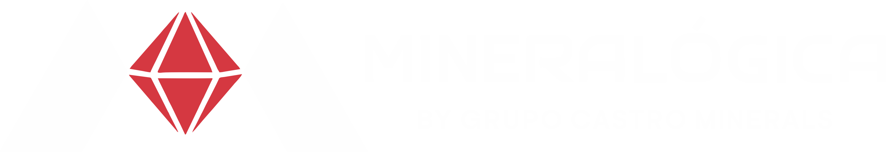 Mineral&oacute;gica
